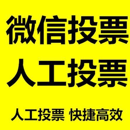 新竹市微信刷票怎么投票