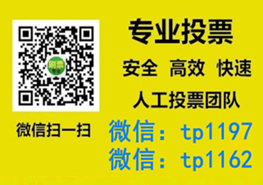 新竹市微信手动投票费多少钱让我告诉你微信投了多少